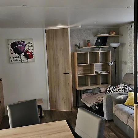 Mobilhome 3ch Numero 191 Entre Foret Landaise Et Ocean 4 Etoiles Campsite *